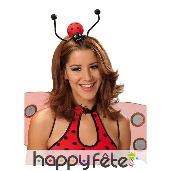 Coccinelle sur serre tête