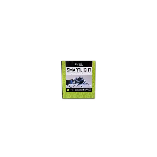 Guirlande 100 Led sur batterie blanc froid