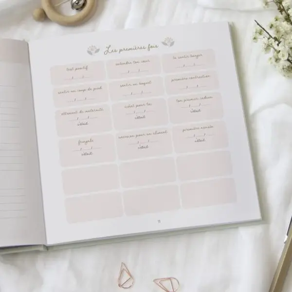 Journal de grossesse Zü