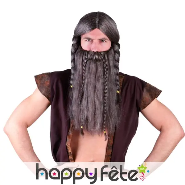 Ensemble Barbe perruque grise de viking