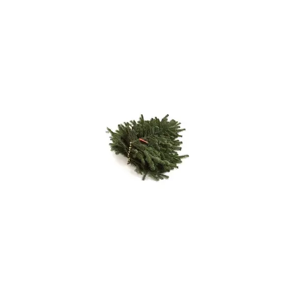 Branches de sapin naturelles Nordmann