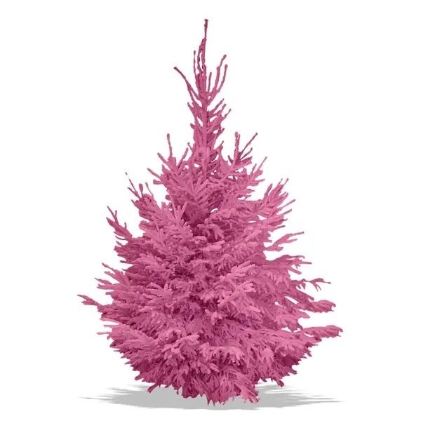 Sapin Nordmann floqué fuchsia