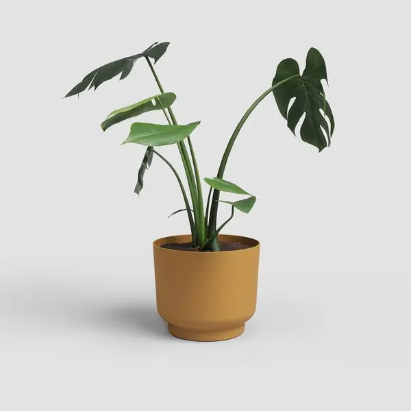 Cache-pot Miami, coloris jaune miel - D.20cm