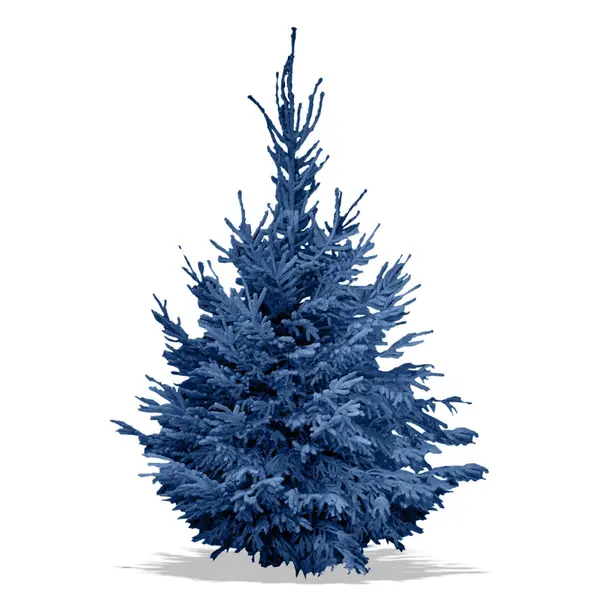 Sapin Nordmann floqué bleu