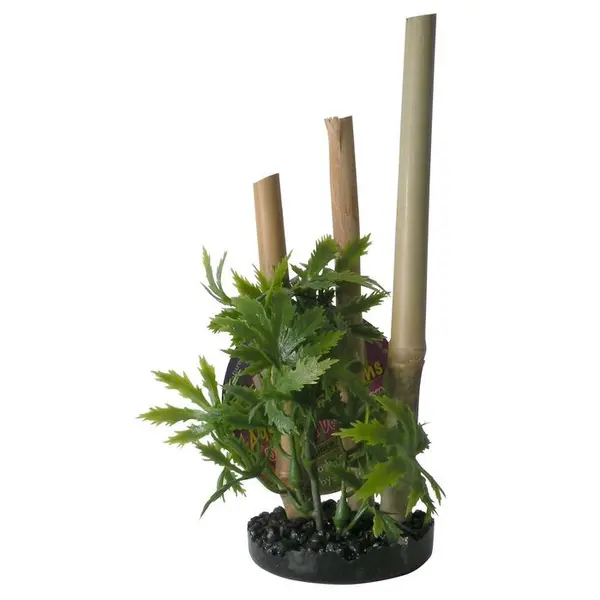 Décoration d'aquarium, Bambou avec plantes sur sable noir