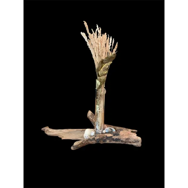 Bois flotté, décoré de coquillages et d'un soliflore en verre et quelques fleurs séchées