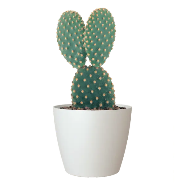 Cache-pot d'intérieur San Remo en plastique blanc Ø30cm