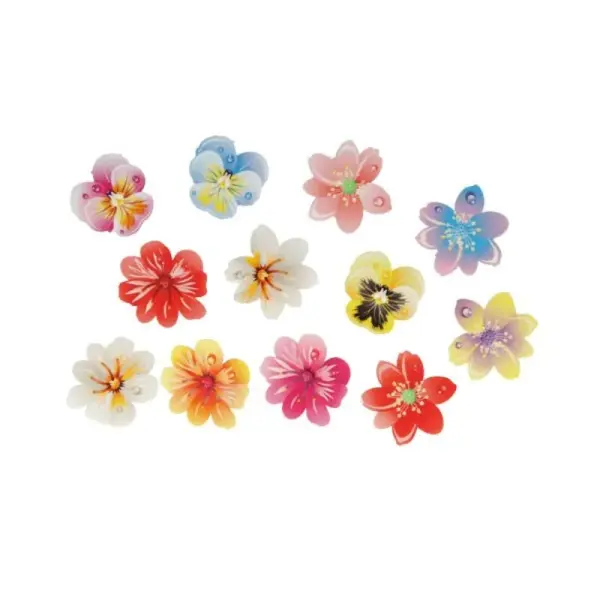13 Fleurs 3D comestibles en azyme assorties