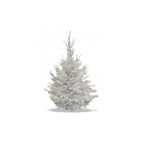 Sapin de Noël Nordmann floqué blanc