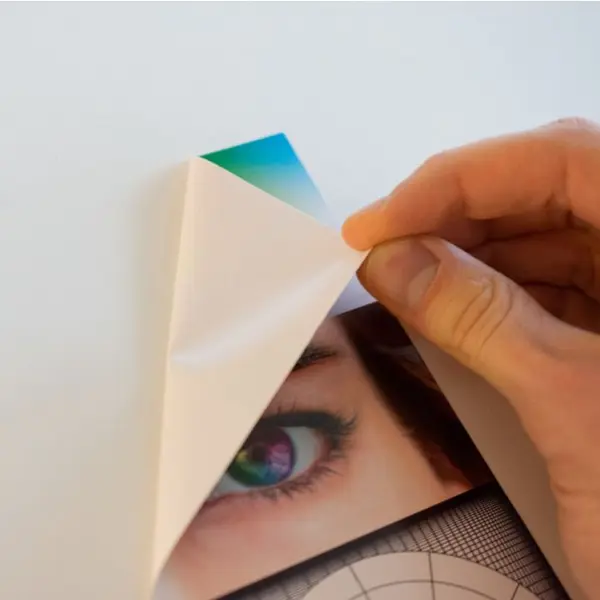 Film adhésif détachable sans trace