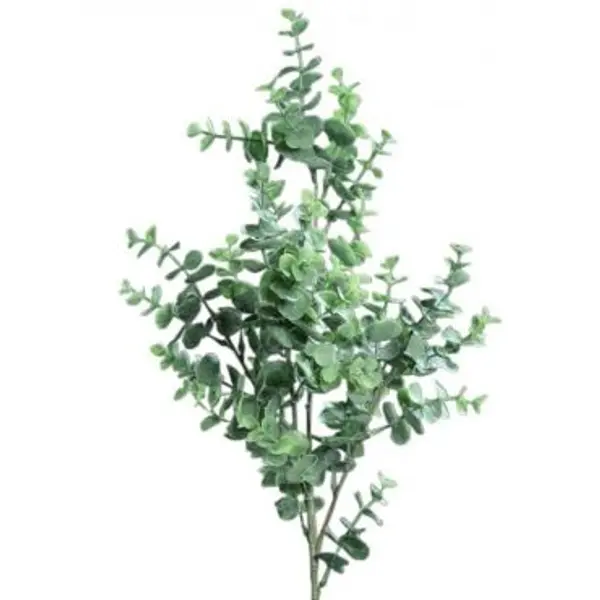 Tige d' Eucalyptus 70 cm