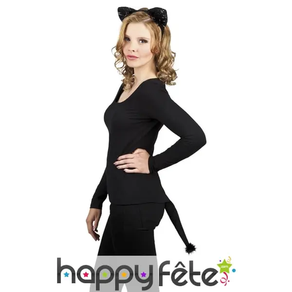 Kit oreilles et queue de chat