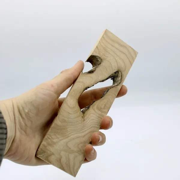 Lot de 20 lamelles de bois en bois précieux