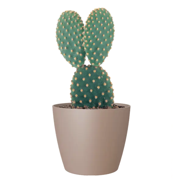 Cache-pot d'intérieur San Remo en plastique taupe Ø6cm