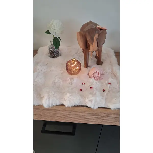 Bougie /fondant chat dans sa coquille pêche -51 g