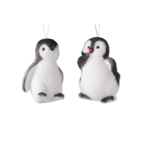 Duo pingouin