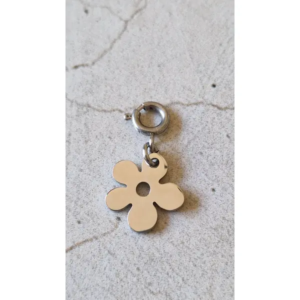 Charms en acier inoxydable argenté