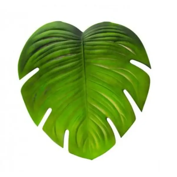 Grande Feuille Tropicale - Monstera