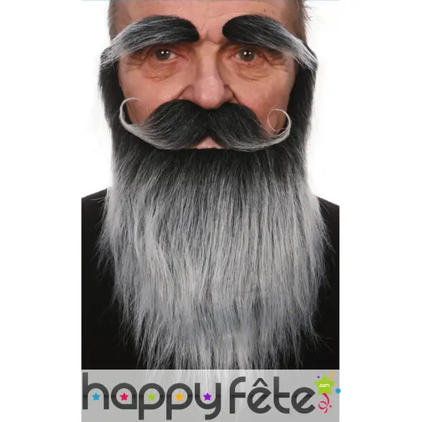 Set moustache, barbe et sourcils gris