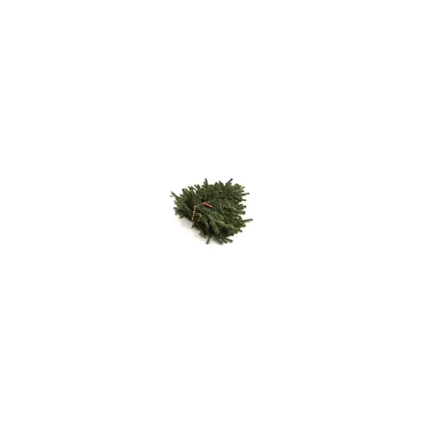 Branches de sapin naturelles Nordmann