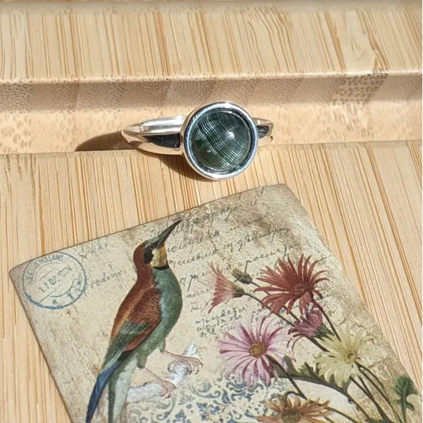 Vert velours - bague ajustable monture argent pierre naturelle séraphinite verte