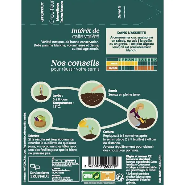 Graines de chou fleur merveille de toutes saisons en sachet