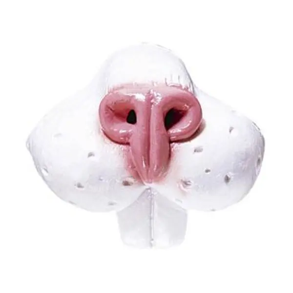 Kit pour Déguisement de Lapin Adulte