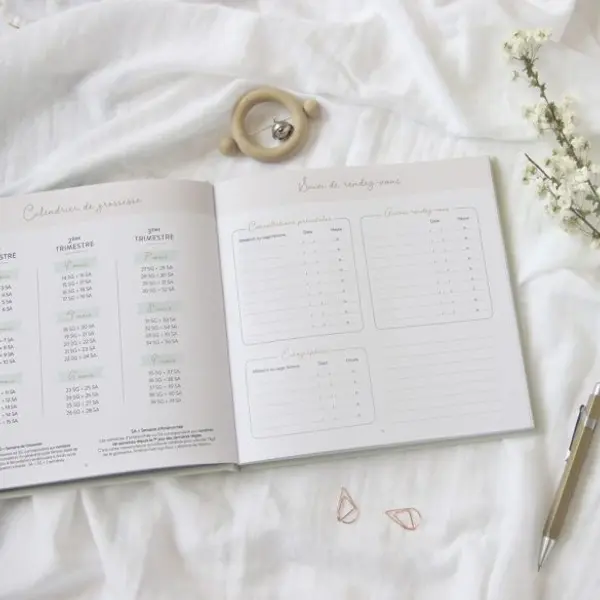 Journal de grossesse Zü