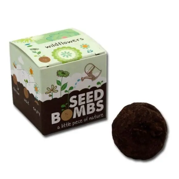 Mini bombes à graines pour demande au parrain / marraine