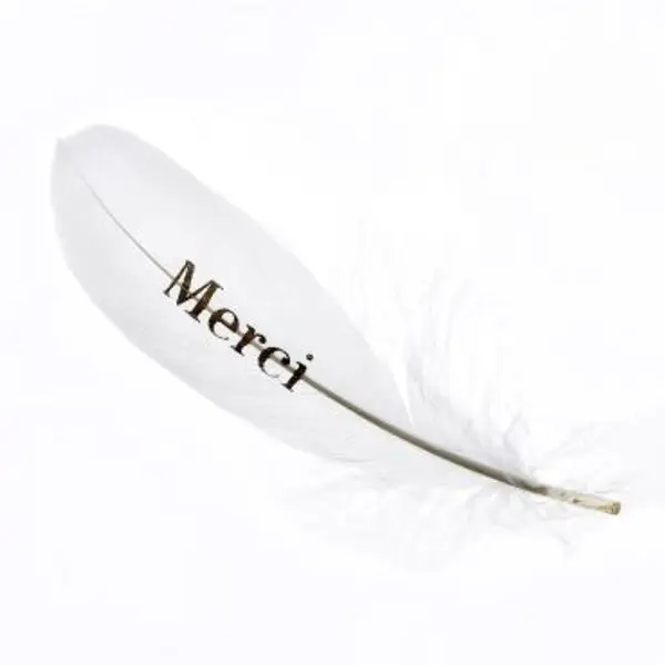 6 Plumes Merci - Or