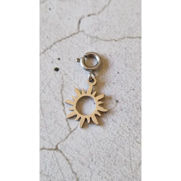 Charms en acier inoxydable argenté