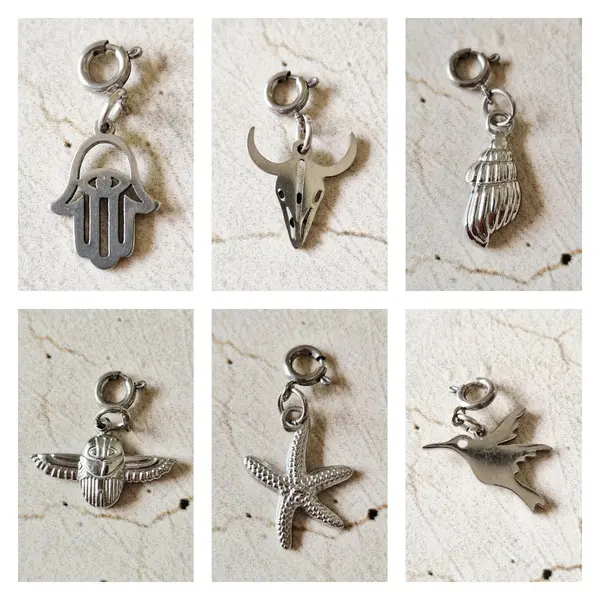 Charms en acier inoxydable argent 2