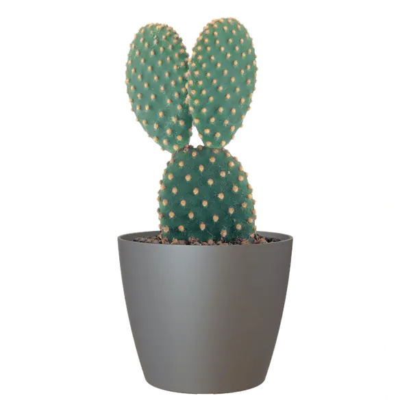 Cache-pot d'intérieur San Remo en plastique anthracite Ø25cm