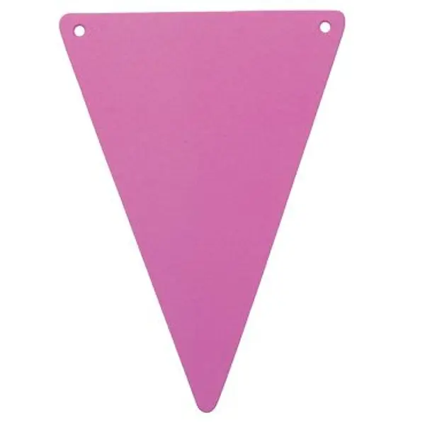 5 Fanions en Carton Unis - Fuchsia