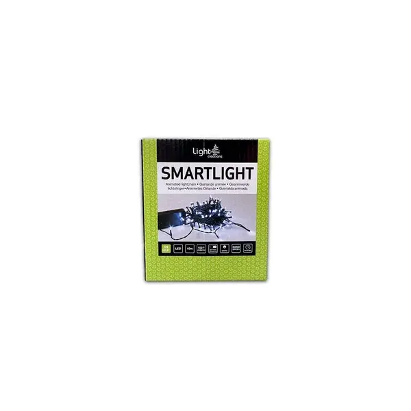 Guirlande 100 Led sur batterie blanc froid