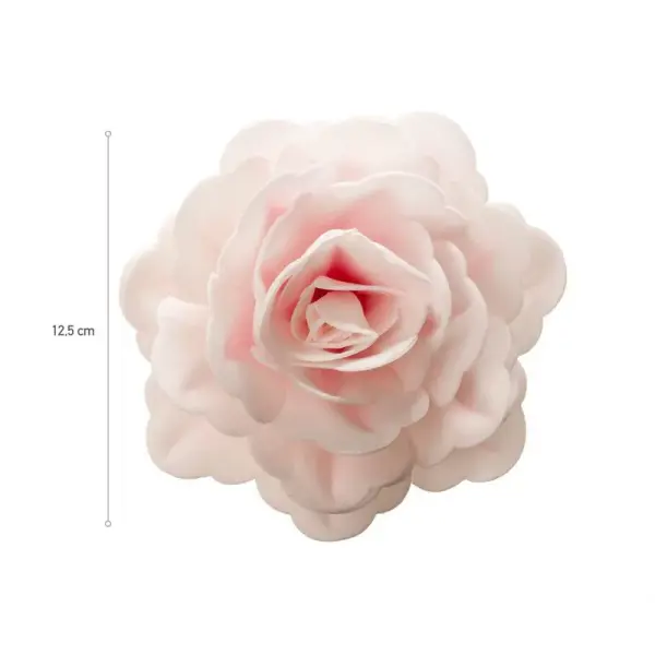 Rose rose géante azyme