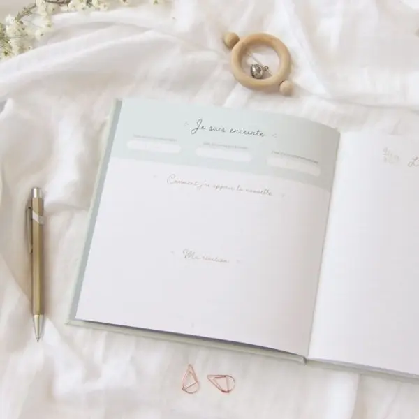 Journal de grossesse Zü