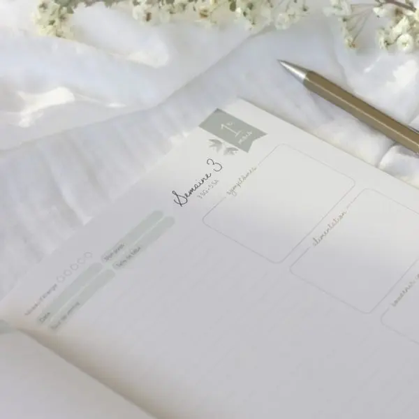 Journal de grossesse Zü