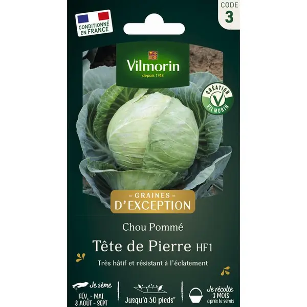 Graines de chou CabusTete de pierre Hybride F1 en sachet
