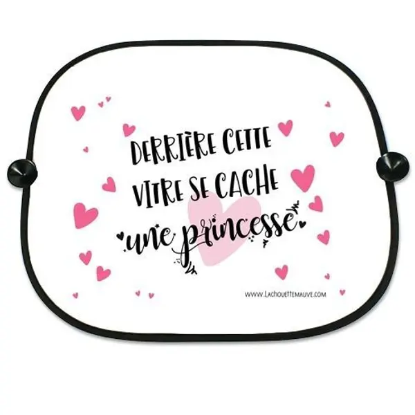 Pare-soleil (2 pièces) Princesse
