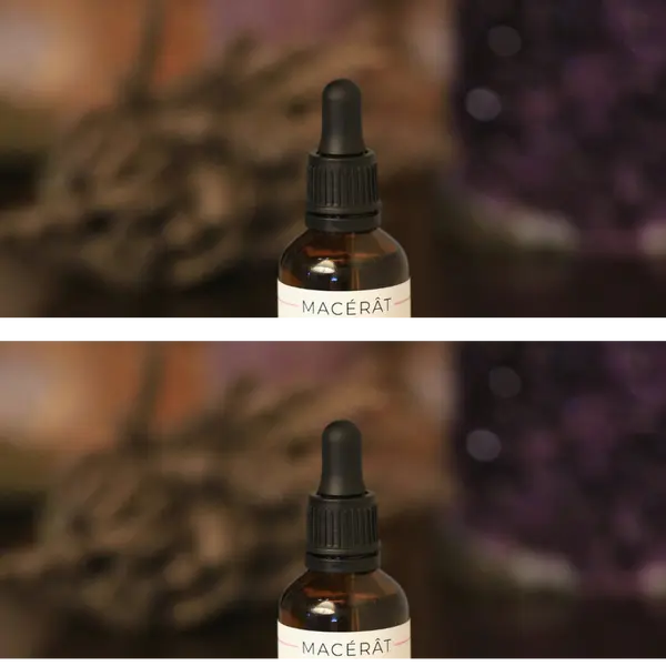 Macérât huileux de rose