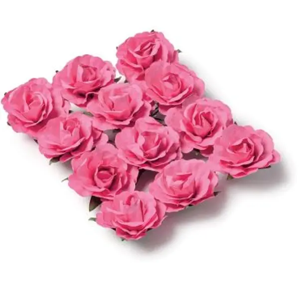 12 Roses Fuchsias sur Tige