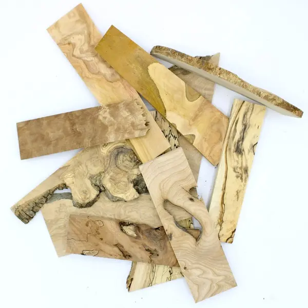 Lot de 20 lamelles de bois en bois précieux