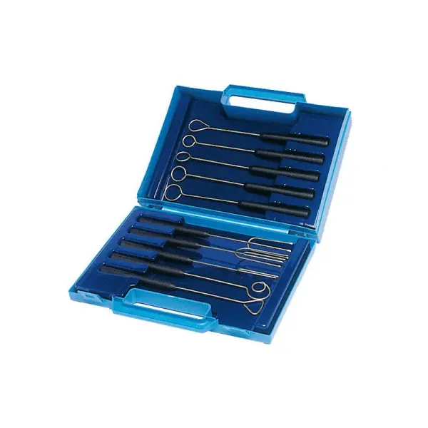 boîte de 10 broches à tremper chocolat