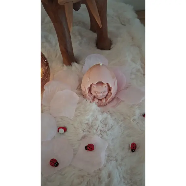 Bougie /fondant chat dans sa coquille pêche -51 g