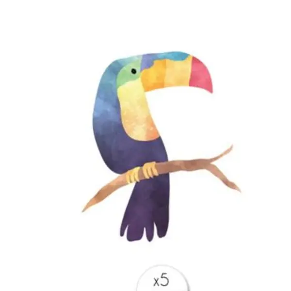Sachet de 5 tatouages éphémères – Toucan