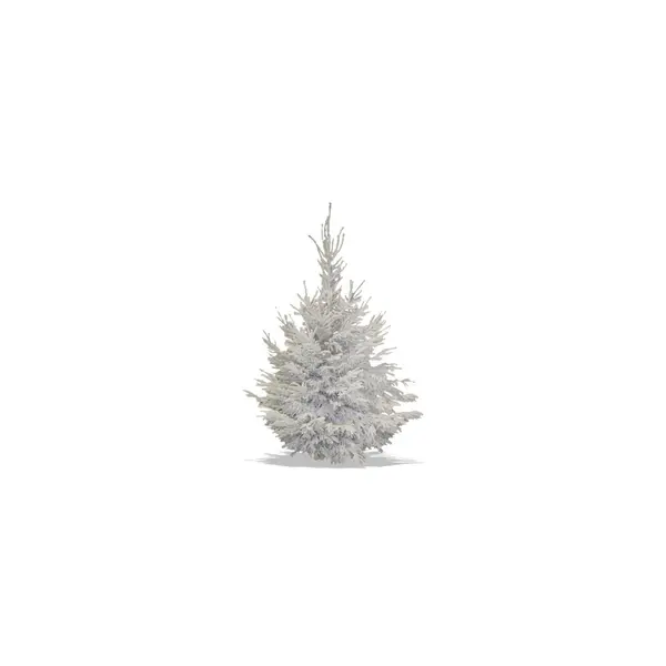 Sapin de Noël Nordmann floqué blanc