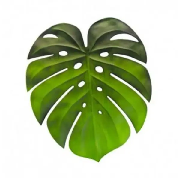 Set de table - Feuille tropicale Monstera