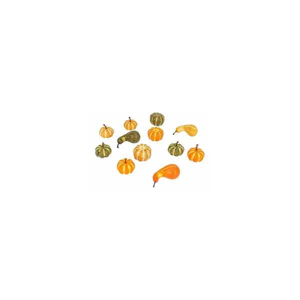 Mini citrouilles multicolores décoratives (x12)