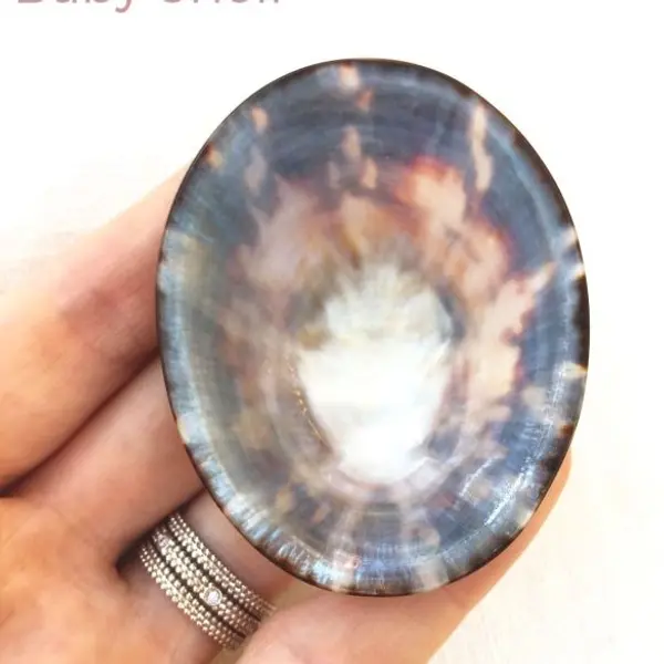 Coquillages d'allaitement en nacre Baby Shell